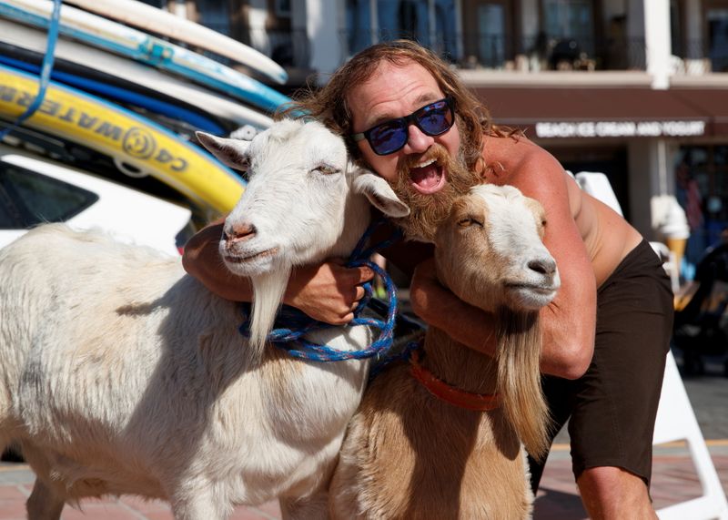 Dana McGregor poses for a picture as he arrives at the beach with his surfing goat Pismo (L) and Grover in San Clemente, California, USA. (REUTERS)