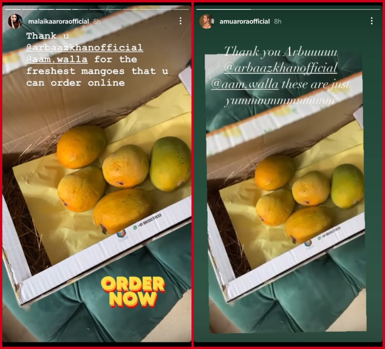Malaika Arora and her sister, Amrita Arora, received mangoes from Arbaaz Khan. Malaika Arora and her sister, Amrita Arora, received mangoes from Arbaaz Khan.