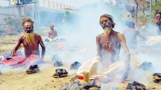 Sadhus or 'holy men' offer prayers during a Kumbh Mela in Haridwar on Tuesday. (ANI)