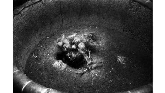 “What is left are pictures free from superficial emotions such as warmth and sadness and left with an almost unbearable weight of presence. Without a doubt, in those moments, while sharing the same space he was observing from some other dimension.”(Photo by Kosuke Okahara)