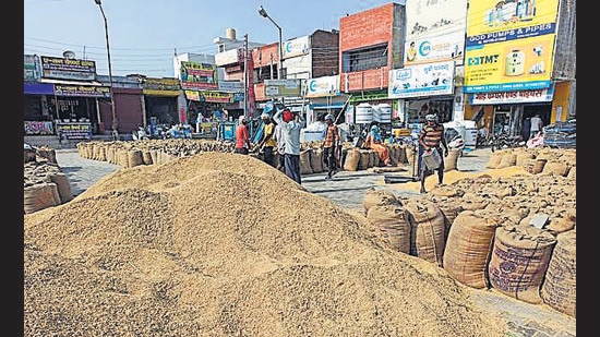 The annual procurement process at the MSP of <span class='webrupee'>₹</span>1,975 per quintal is expected to begin on April 1. (HT Photo ) The annual procurement process at the MSP of <span class='webrupee'>₹</span>1,975 per quintal is expected to begin on April 1. (HT Photo )