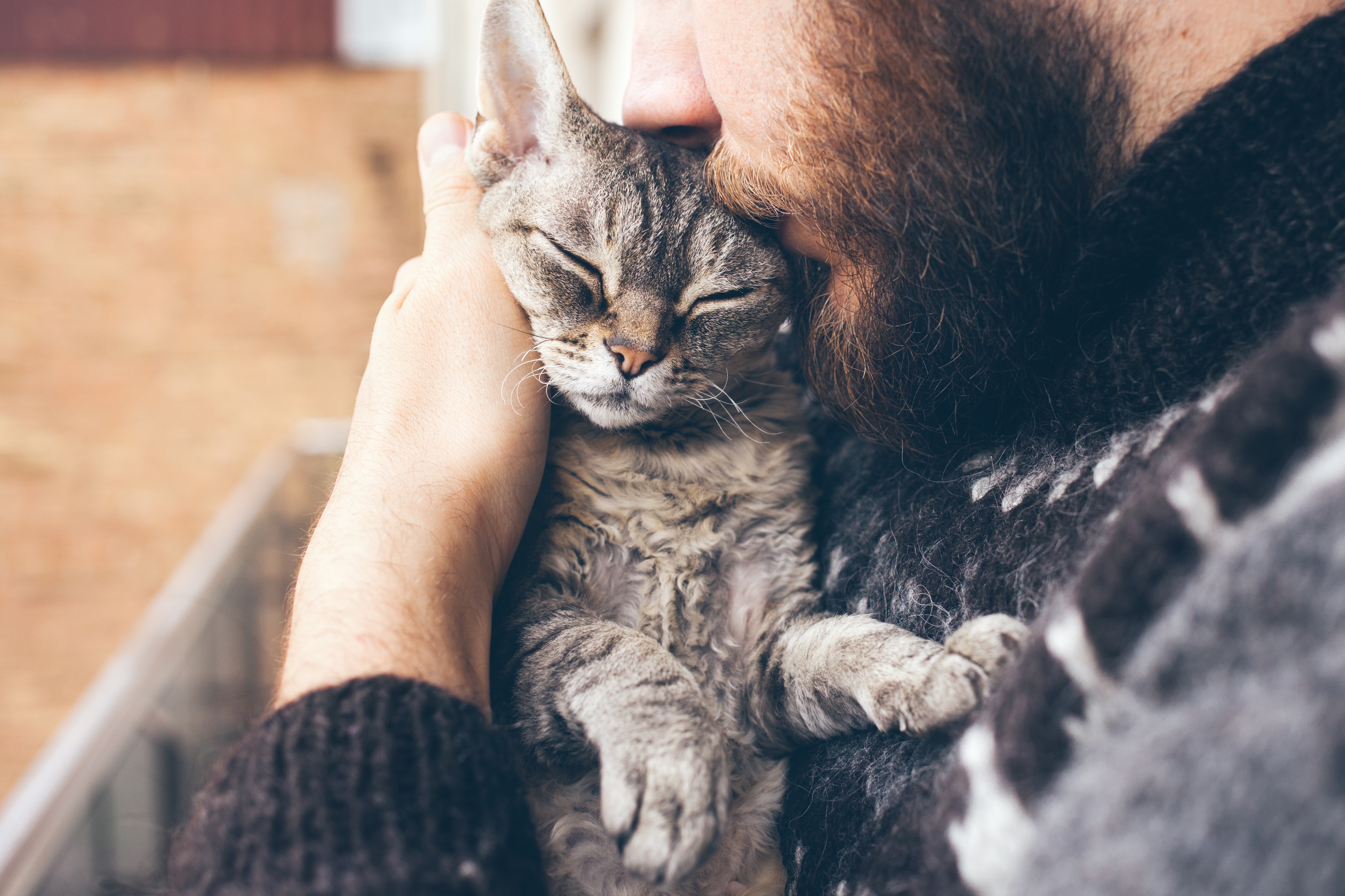 Meow! (Shutterstock) Meow! (Shutterstock)