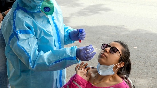 A healthcare worker takes a nasal sample from a woman for Covid-19 test, in Jalandhar on Thursday. (PTI Photo) A healthcare worker takes a nasal sample from a woman for Covid-19 test, in Jalandhar on Thursday. (PTI Photo)