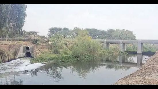The National Green Tribunal in 2020 had directed all civic bodies in Malwa to ensure setting up of STPs after it found groundwater in Fazilka district contaminated due to untreated water and sewage water in a drain. The National Green Tribunal in 2020 had directed all civic bodies in Malwa to ensure setting up of STPs after it found groundwater in Fazilka district contaminated due to untreated water and sewage water in a drain.