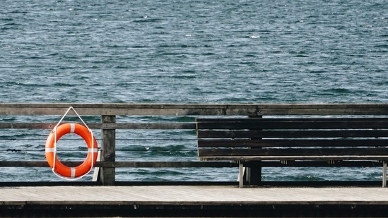 The incident took place at Lake Superior (representational image).(Unsplash) The incident took place at Lake Superior (representational image).(Unsplash)