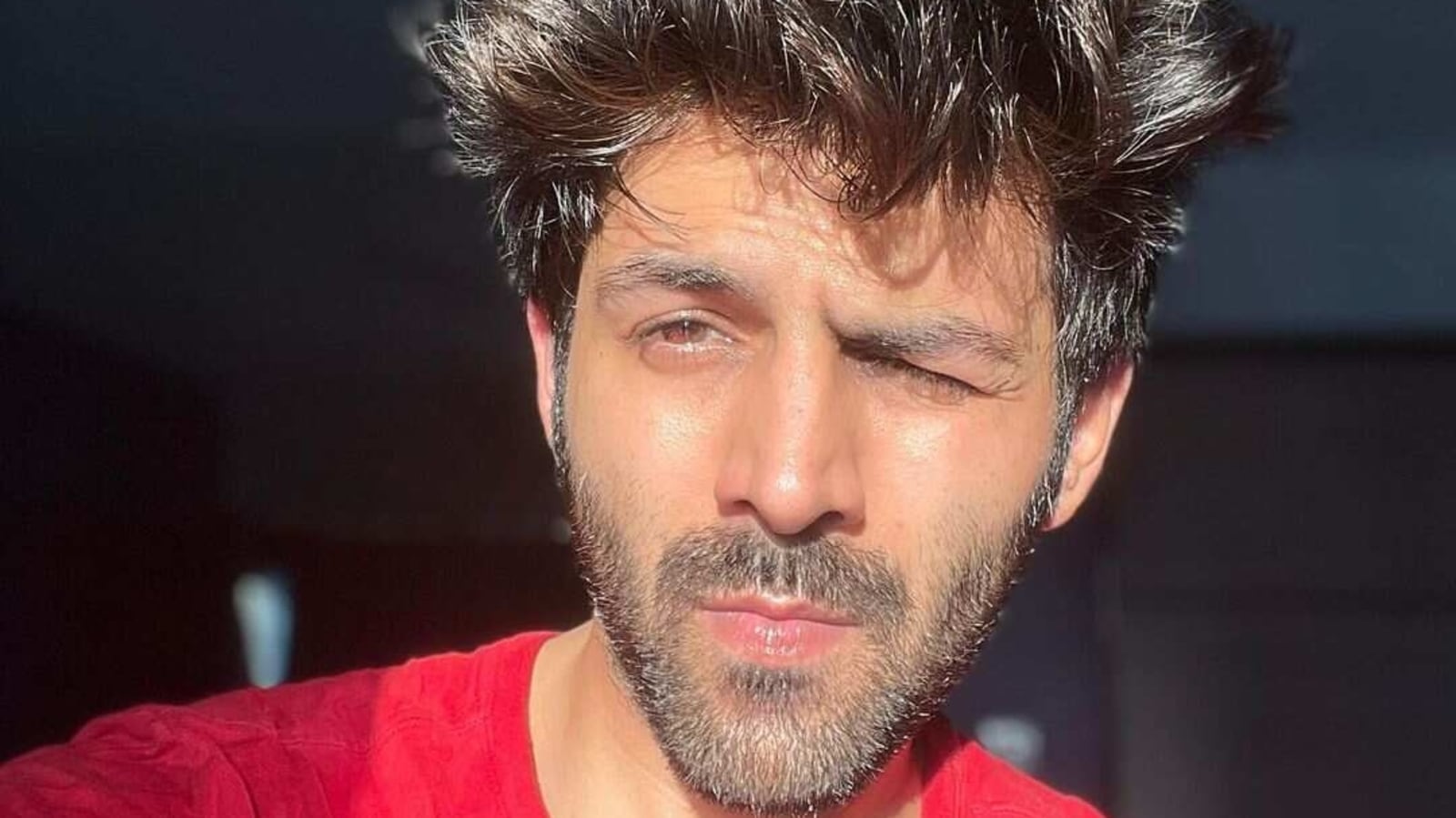 Kartik Aaryan posts humorous 'Covid selfie' after night curfew announcement: 'I've been in lockdown'