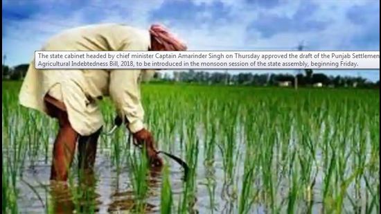 A file photo of a farmer during paddy sowing.