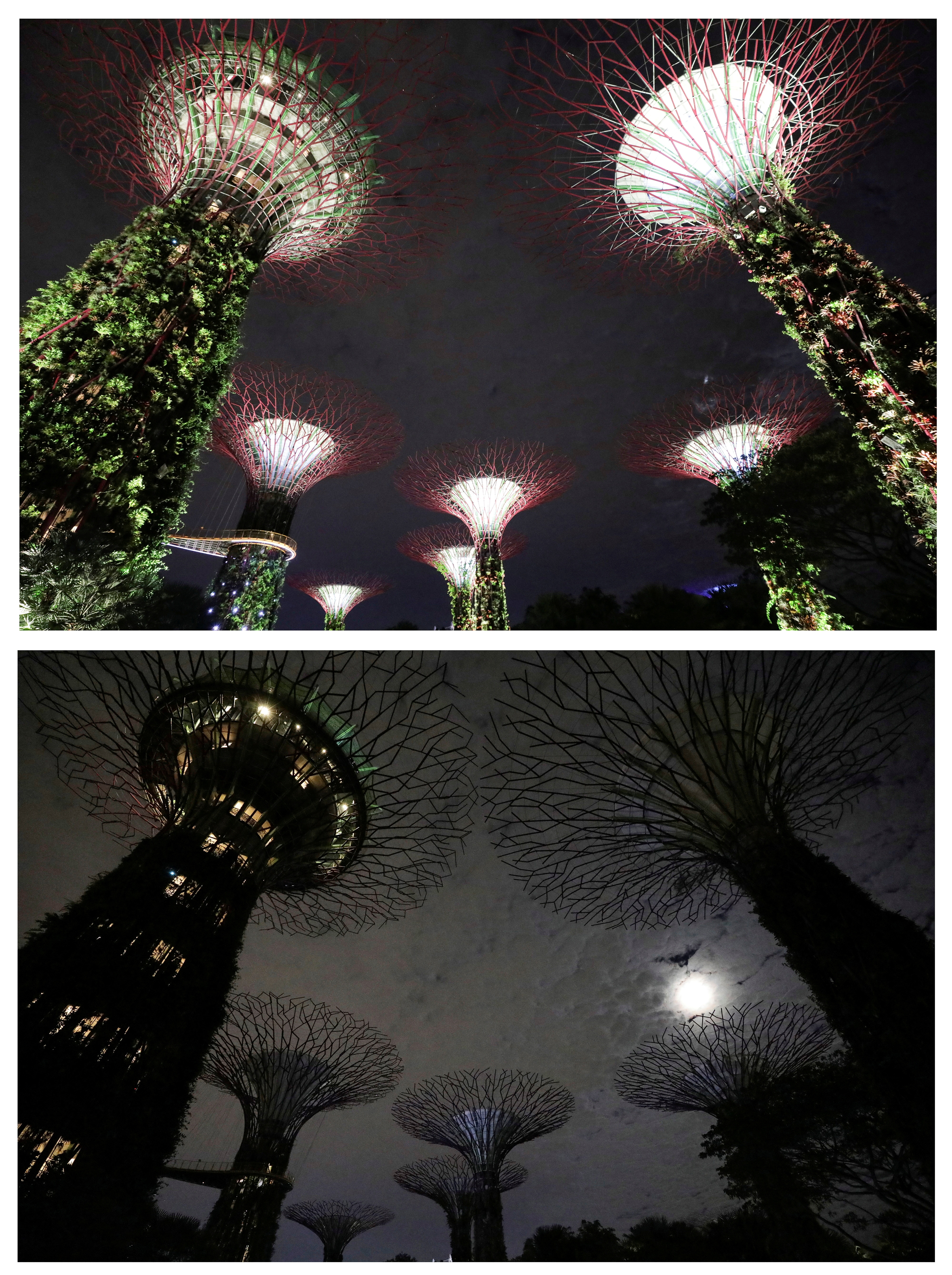 Artificial tree-like structures called Supertrees after lights were switched off to commemorate Earth Hour, at Gardens By the Bay, in Singapore. (Reuters)