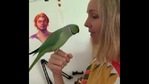 The image shows the parrot sitting on its human's hand(Instagram/@facebeak) The image shows the parrot sitting on its human's hand(Instagram/@facebeak)