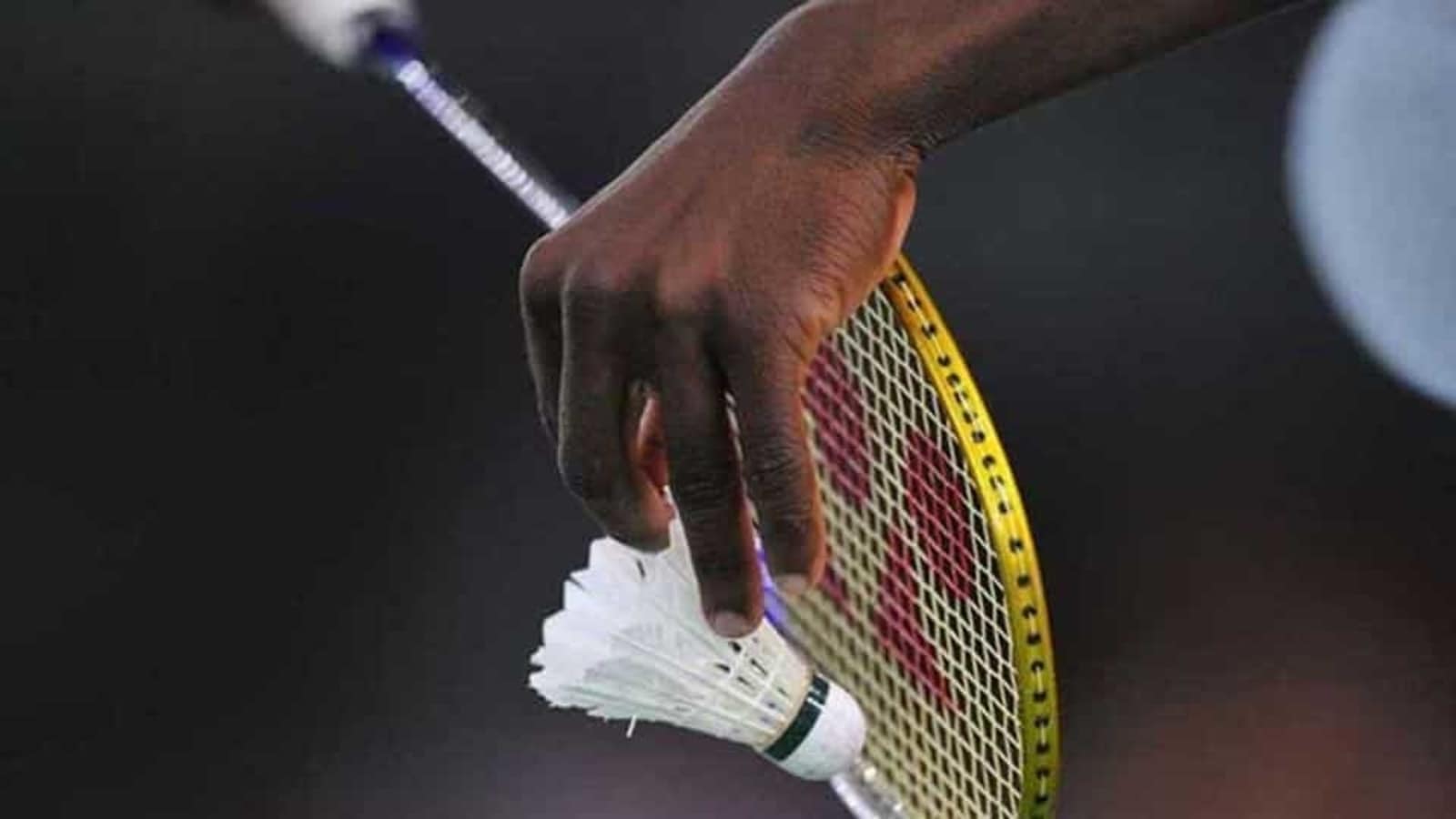 Bhagat, Joshi to lead Indian challenge at Dubai Para-Badminton International