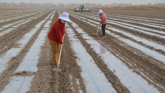 The UN group has joined the list of countries that have asked China to address reports of human rights abuses in Xinjiang.(Reuters)