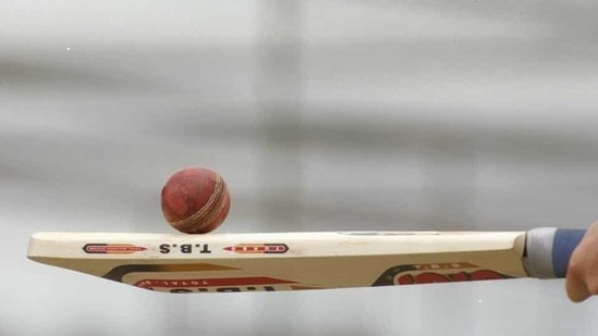File image of a cricket bat and ball. (Getty Images) File image of a cricket bat and ball. (Getty Images)