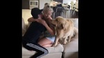 The image shows Sterling the doggo with his humans.(Instagram/@lifeof sterlingnewton) The image shows Sterling the doggo with his humans.(Instagram/@lifeof sterlingnewton)