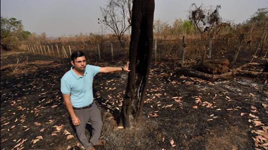 Adityavardhan Pathak, owner of a commercial farm in Thane district, shows a part of his land that was burnt during a wild fire in the beginning of March. “Every year, between February and May, fires break out,” he said. (Satish Bate/HT PHOTO)