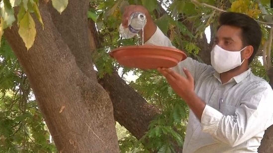 The image shows a man pouring water in a container for birds.(ANI)