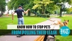 How to stop pets from pulling their leash? This video shows How to stop pets from pulling their leash? This video shows
