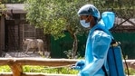 The Delhi zoo was shut for visitors on March 18 last year, a week before the nationwide lockdown that lasted 68 days was imposed.(PTI) The Delhi zoo was shut for visitors on March 18 last year, a week before the nationwide lockdown that lasted 68 days was imposed.(PTI)