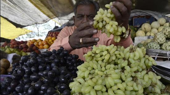 The grape exporters in western Maharashtra are trying to assess its impact on export to the European grape market in the peak of the season (HT PHOTO)