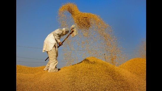 As per directions of Haryana government, the deputy commissioners held meetings with mandi officials, commission agents and officials of the procurement agencies. (PTI) As per directions of Haryana government, the deputy commissioners held meetings with mandi officials, commission agents and officials of the procurement agencies. (PTI)