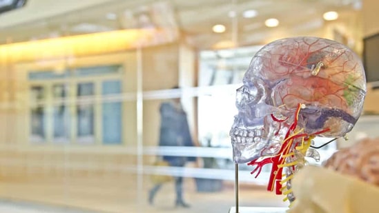 Officials have also linked five deaths with the unknown brain disease.(Unsplash) Officials have also linked five deaths with the unknown brain disease.(Unsplash)