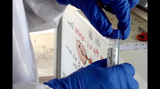 A medical worker handles a swab sample taken for Covid-19 testing in Patiala. Punjab has reported nearly 21% week-on-week increase in new cases and about 2,740 average daily cases in the last seven days. (HT Photo) A medical worker handles a swab sample taken for Covid-19 testing in Patiala. Punjab has reported nearly 21% week-on-week increase in new cases and about 2,740 average daily cases in the last seven days. (HT Photo)