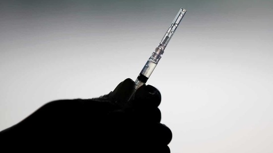 The vaccine for animals, developed by a unit of Rosselkhoznadzor, was named Carnivac-Cov, the watchdog said. (Representative image)