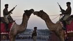 New Delhi, India - January 24, 2020: Border Security Force (BSF) personnel are seen mounted on camels during rehearsals for the Beating Retreat ceremony ahead of the Republic Day parade, at Raisina Hills, in New Delhi, India, on Friday, January 24, 2020. (Photo by Sanjeev Verma/ Hindustan Times) (Sanjeev Verma/HT PHOTO) New Delhi, India - January 24, 2020: Border Security Force (BSF) personnel are seen mounted on camels during rehearsals for the Beating Retreat ceremony ahead of the Republic Day parade, at Raisina Hills, in New Delhi, India, on Friday, January 24, 2020. (Photo by Sanjeev Verma/ Hindustan Times) (Sanjeev Verma/HT PHOTO)