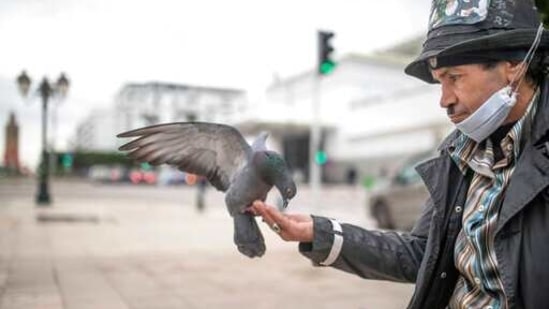 Belhussein Abdelsalam, 58, a Charlie Chaplin impersonator feeds pigeons as he waits for customers in one of the main avenues in Rabat, Morocco, Wednesday, Dec. 16, 2020. When 58-year-old Moroccan Belhussein Abdelsalam was arrested and lost his job three decades ago, he saw Charlie Chaplin on television and in that moment decided upon a new career: impersonating the British actor and silent movie maker remembered for his Little Tramp character. (AP)