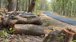 In September 2020, the tree authority had granted permission to Rockfort Estate Developers to cut 11 trees at the site for a proposed commercial building. (Ranjit Patnaik/HT PHOTO) In September 2020, the tree authority had granted permission to Rockfort Estate Developers to cut 11 trees at the site for a proposed commercial building. (Ranjit Patnaik/HT PHOTO)