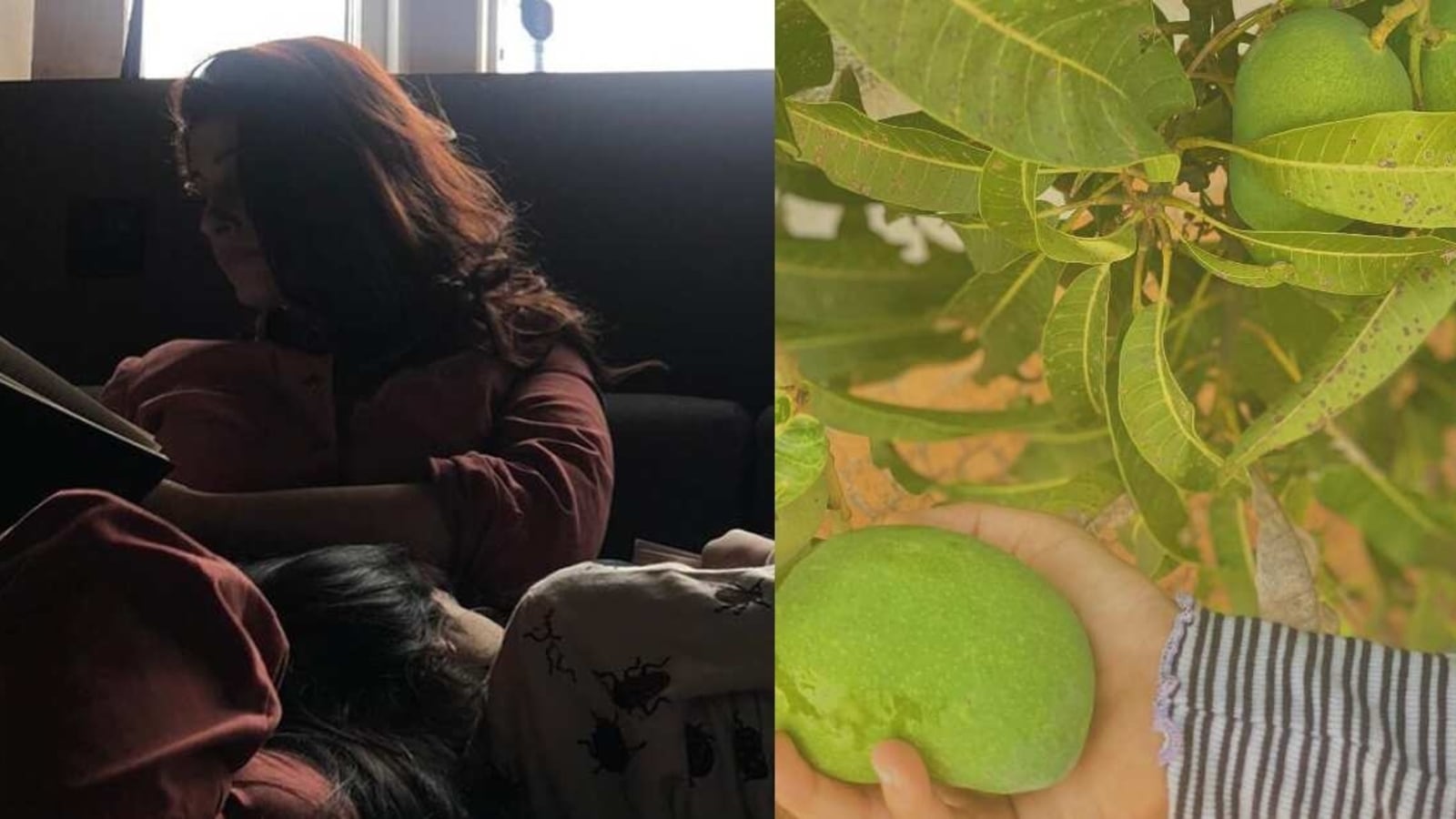 Twinkle Khanna relives her past summers as Nitara reaches for a raw mango: 'A childhood wrapped up in mangoes'