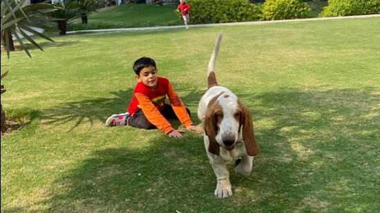 Learning pet etiquette a must to avoid conflict with co-residents in societies Learning pet etiquette a must to avoid conflict with co-residents in societies