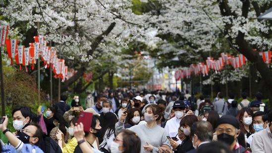 Commuters walk under cherry blossoms, in Tokyo, on March 26. On average, Tokyo's cherry trees reach full bloom on April 2. This year the capital's cherry blossom peaked on March 22, a day slower than the earliest logged in 2002, AFP reported.(Eugene Hoshiko / AP)