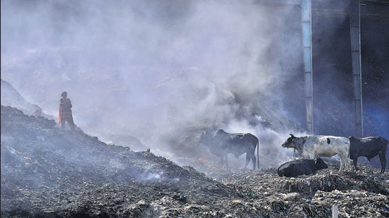 Smoke rising from the garbage that caught fire at the city’s main dump on Tajpur Road on Saturday. (Gurpreet Singh/HT) Smoke rising from the garbage that caught fire at the city’s main dump on Tajpur Road on Saturday. (Gurpreet Singh/HT)