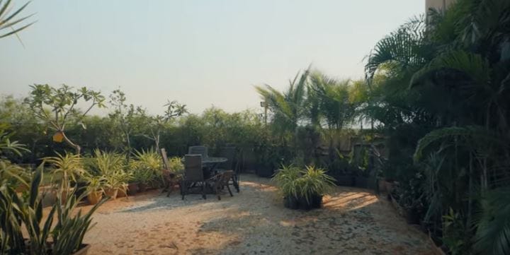 Shakti and Mukti Mohan's lush terrace space.