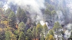Uttarakhand has reported incidents of forest fire at 964 places and minister Harak Singh Rawat has said that four people and seven animals have died. (Representative Photo/HT) Uttarakhand has reported incidents of forest fire at 964 places and minister Harak Singh Rawat has said that four people and seven animals have died. (Representative Photo/HT)
