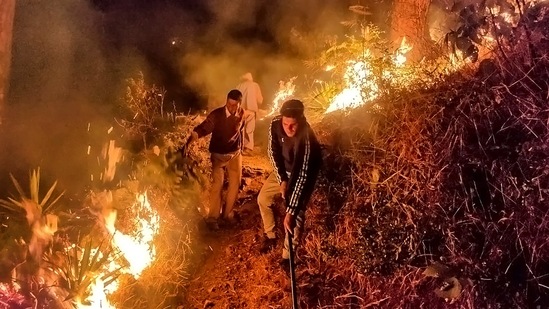 Tehri: Forest workers engaged in extinguishing the fire in the forests of Tehri district, Sunday, April 4, 2021.(PTI)