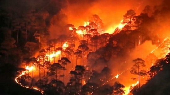 Raging forest fires in Nainital district.(HT photo)