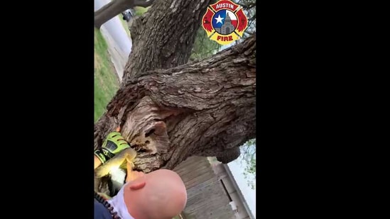 The image shows the firefighters rescuing the squirrel.(Facebook/@AustinFireDepartment)