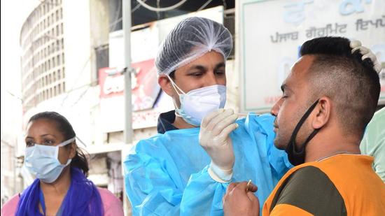 A health worker in PPE overalls collects swab samples in Ludhiana. (HT File)
