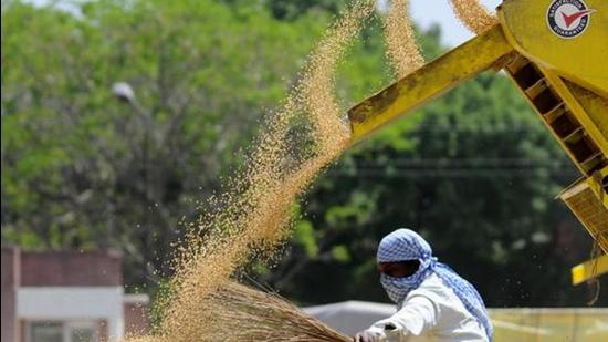 The conventional method of making payment to middlemen in foodgrain system is irrational, the farmers’ union has claimed. (HT file) The conventional method of making payment to middlemen in foodgrain system is irrational, the farmers’ union has claimed. (HT file)