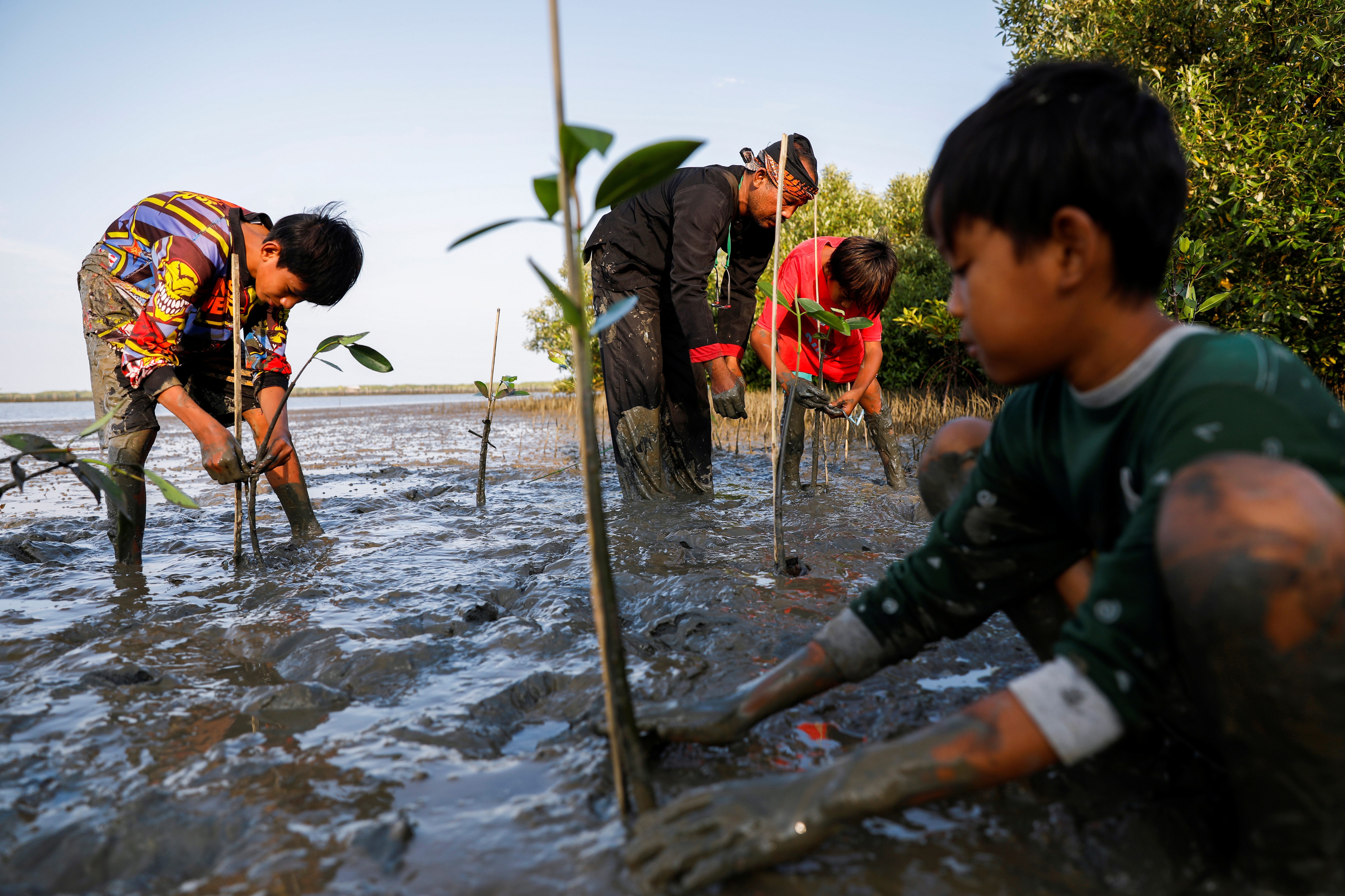Samsudin, 50, plants mangrove trees with local children at Tiris beach in Pabeanilir village, Indramayu regency, West Java province, Indonesia. (REUTERS)