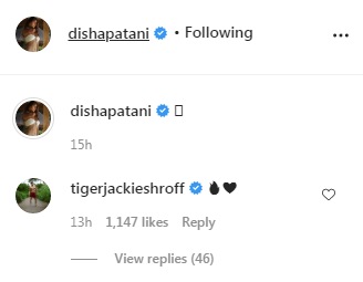Tiger Shroff's comment on the post (Instagram/  dishapatani )