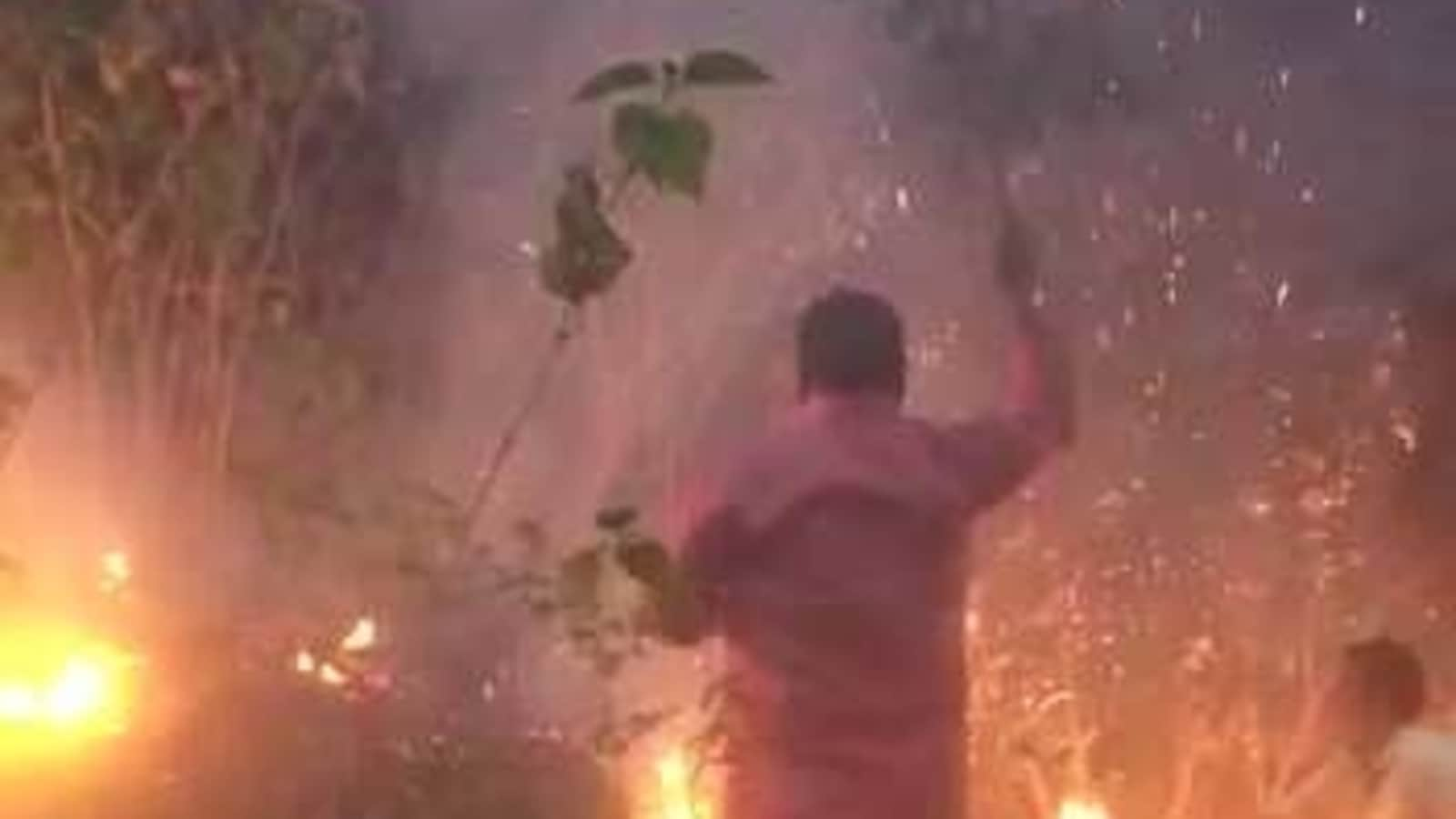 Uttarakhand forest minister posts a video fighting forest fire; slammed