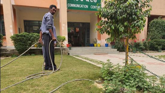 Gardeners of the varsity watering the lawns using hose pipes. (HT PHOTO)