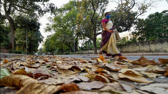 Awoman walks down a road during cloudy and dusty weather conditions, in New Delhi. (PTI)