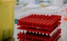 The action comes as the European Union’s medicines regulator prepares to provide an updated assessment of the shot’s safety at about 4 p.m. Amsterdam time.(Unsplash) The action comes as the European Union’s medicines regulator prepares to provide an updated assessment of the shot’s safety at about 4 p.m. Amsterdam time.(Unsplash)