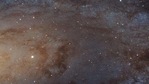 The rare Wolf–Rayet stars are highly luminous objects, a thousand times more than the Sun and have intrigued astronomers for long.(Representative image) The rare Wolf–Rayet stars are highly luminous objects, a thousand times more than the Sun and have intrigued astronomers for long.(Representative image)