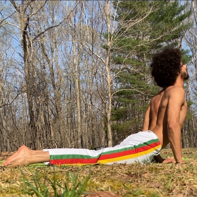 Bhujangasana or Cobra pose of Yoga(Instagram/cronesima)