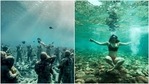 Best places for snorkelling in Asia(Instagram/travelwithsearats) Best places for snorkelling in Asia(Instagram/travelwithsearats)