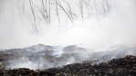 Representational: Methane concentrations in Bangladesh likely originate from a combination of sources including paddy fields, landfills, leaky natural gas pipelines and coal stockpiles, according to Kayrros. (Sakib Ali / HT Photo) Representational: Methane concentrations in Bangladesh likely originate from a combination of sources including paddy fields, landfills, leaky natural gas pipelines and coal stockpiles, according to Kayrros. (Sakib Ali / HT Photo)